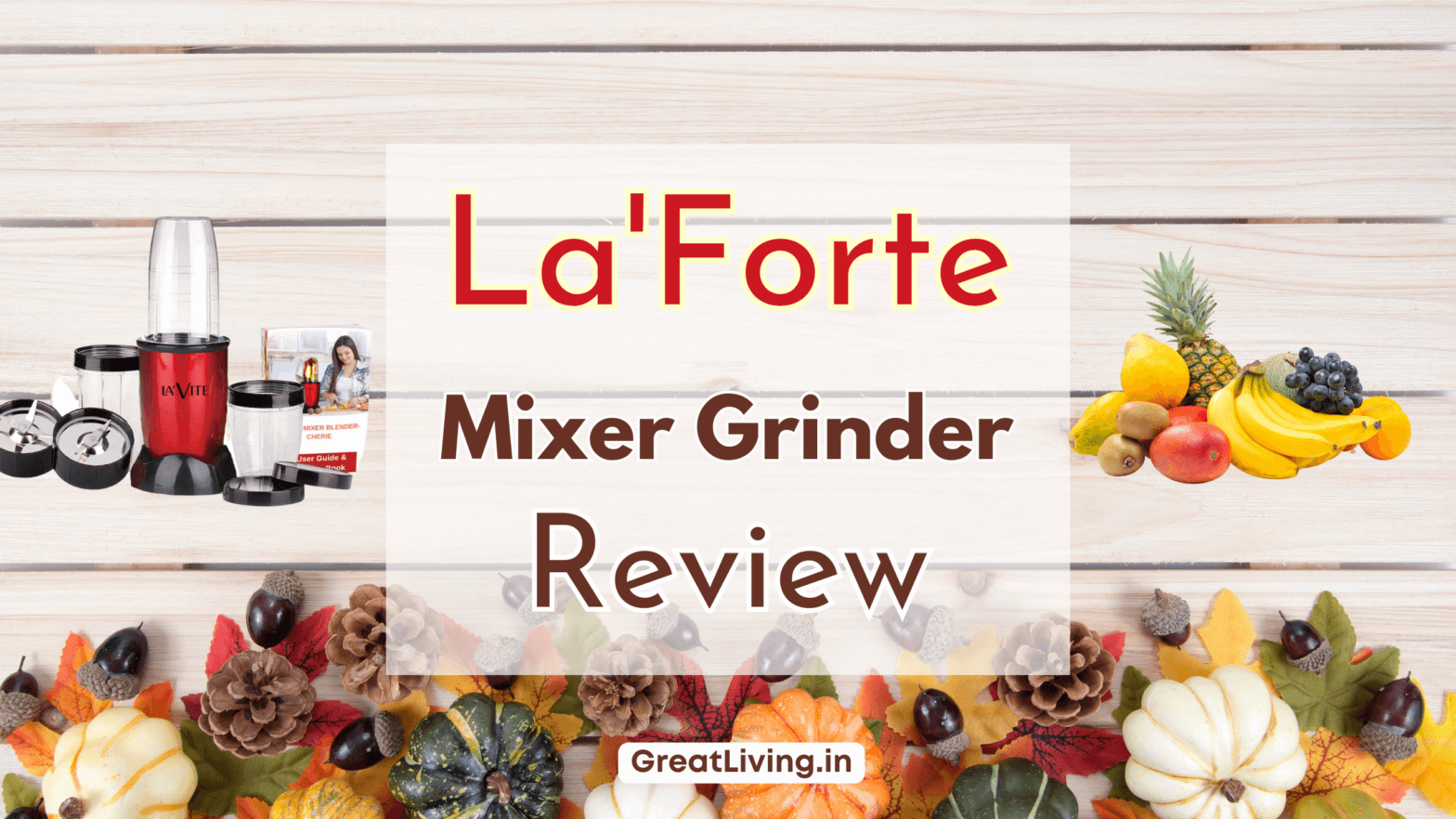 Laforte Mixer Grinder Review